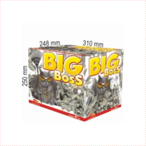 Big Boss